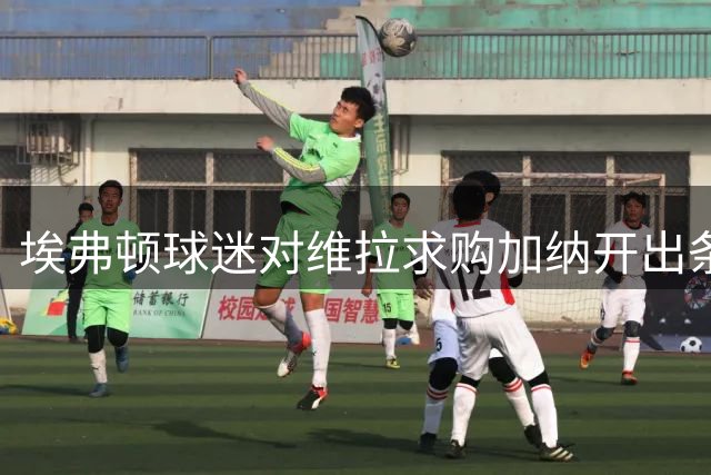 埃弗顿球迷对维拉求购加纳开出条件：拿1亿英镑来换中场数据王