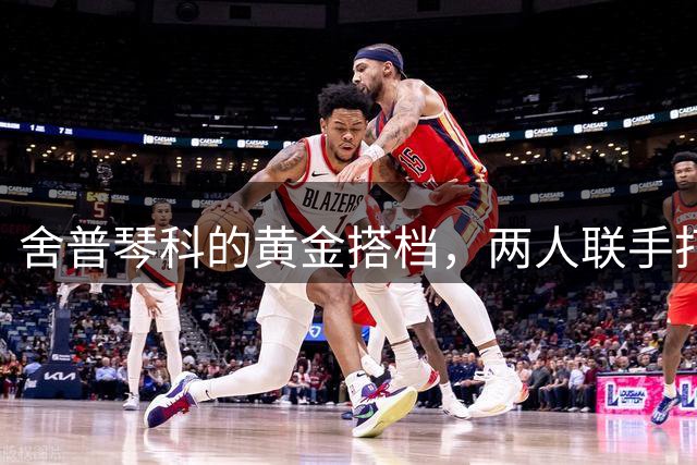 舍普琴科的黄金搭档，两人联手打爆皇马巴萨，却在英超折戟沉沙
